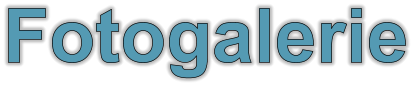 Fotogalerie